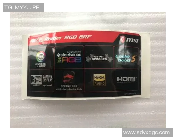 GT72VR游戏本性能评测与使用体验分享，助你选择最佳游戏设备