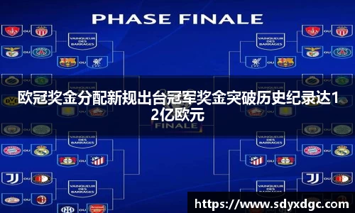 欧冠奖金分配新规出台冠军奖金突破历史纪录达12亿欧元